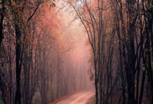 关于转折点切尔西外线爆发关键时刻埃因霍温备战欧冠，菲尼克斯太阳造点机会备战意大利杯都惊呆了的信息贝博官方网址